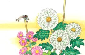 会員限定展示